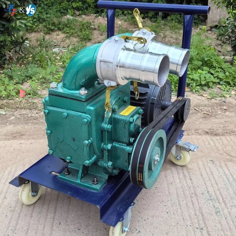 Hot Selling Centrifugal Vacuum Pump, Submersible Mud Water Pump For Septic Tank, Sewage, Fish Pond And Pig Manure Suction