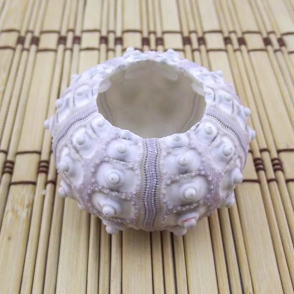 2Pcs Eco Friendly Ceramic Pineapple Plant Stand Mini Bonsai Pot Air Plant Holder for Desk Balcony Windowsill Dining Table Office