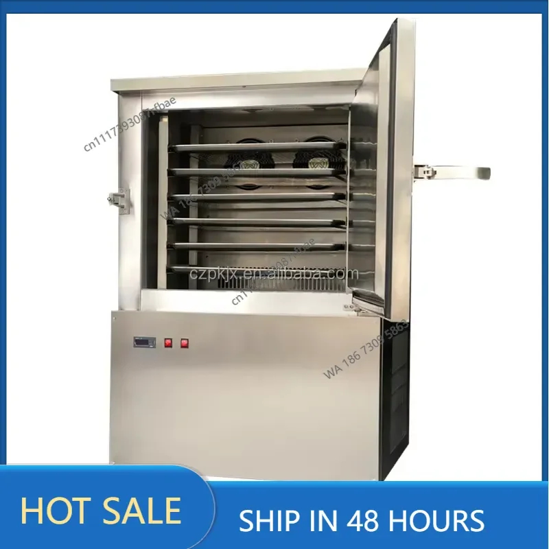 Small Commercial Quick Food Fish Shrimp Prawn Squid Machine Vegetable Seafood Blast Freezer