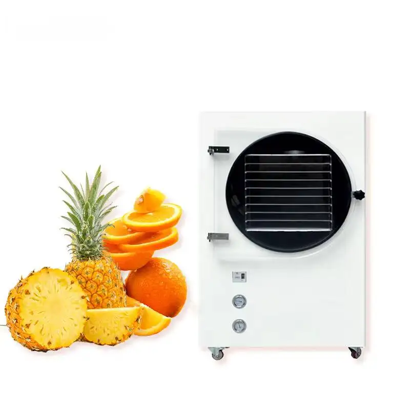 Home Use Vacuum Freeze Dryer 3kg 20kg for Long Term Preservation Fruits Meat Coffee Dairy Products Lyophilizer