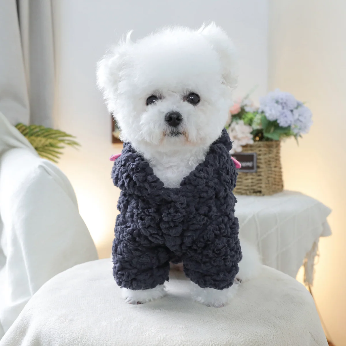 1PC pet clothing dogs autumn and winter thick happy little monster velvet hat coat suitable for small and medium -sized dogs