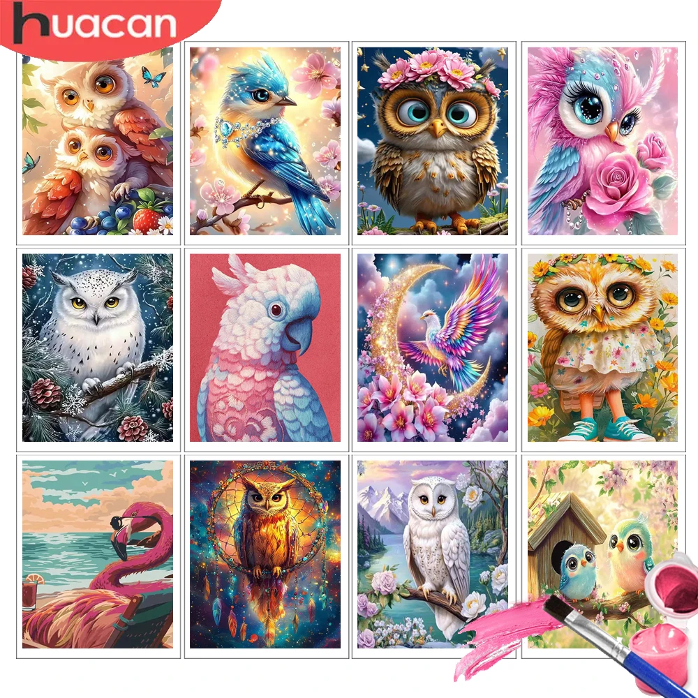 HUACAN Malen nach Zahlen für Erwachsene, Eule, Tiermalerei nach Zahlen, Vögel, farbenfrohe Kunst, Heimdekoration, Geschenk für DIY-Wandset