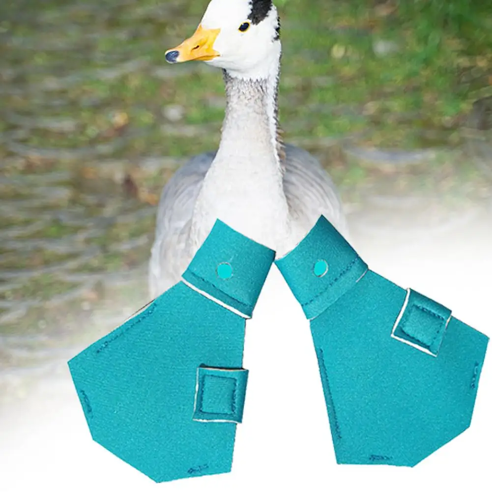 Duck Shoes Breathable Lightweight Anti-Slip Daily Booties Footwear For Small Ducks Gooses Web Care Cute Drop Shipping