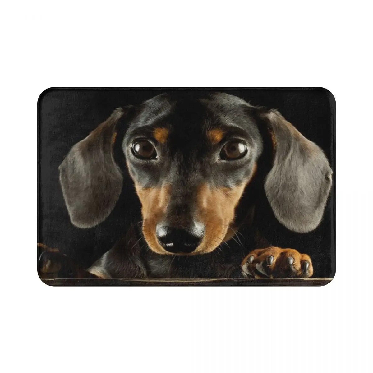 Dachshund Dog Photo Portrait Doormat Printed Bedroom Entrance Floor Mat Balcony Rug Door Mat Pets Animal Decoration Area Rugs