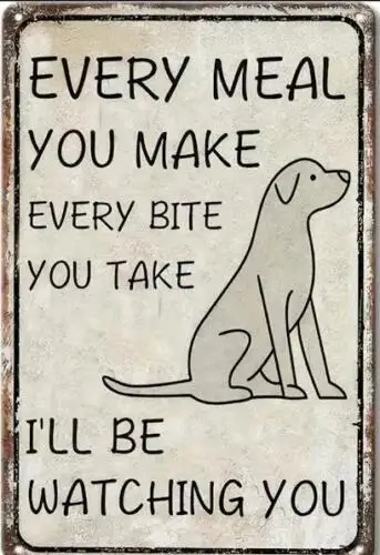 DOG METAL TIN SIGN FUN HUMOR EVERY MEAL YOU MAKE EVERY BITE YOU TAKE I'LL WATCH