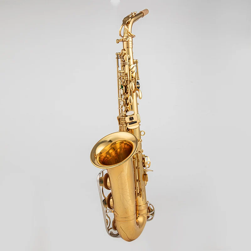 Fast shipping -875 Alto Saxophone, Eb Key, Large Bottom Guard, Gold Finish, with Carry Accessories 2026