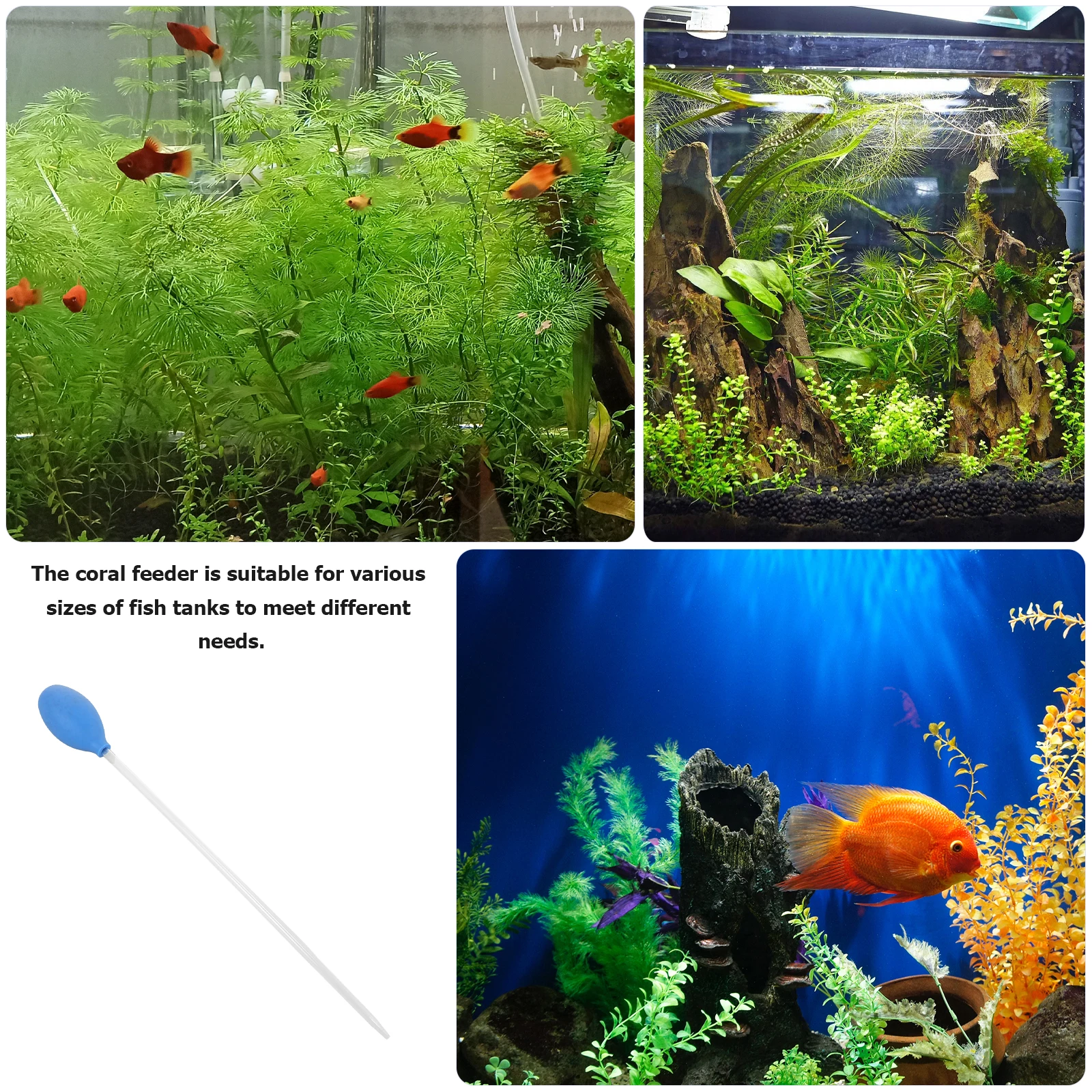 

Soft Coral Feeder Long Tube Liquid Fertilizer Dispensing Fish Tank Feeding Supply Waste Remover Manual Cleaner Reusable Water