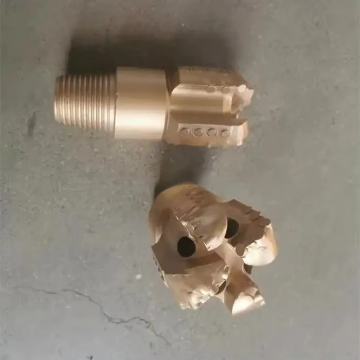 Drilling Bit for Well Drilling Water Well Drilling Pdc Drag Bits