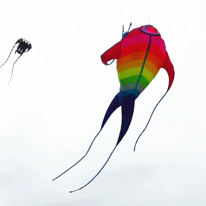 Cerf-volant gonflable en forme de mer, grand jouet coloré, pour la pêche en plein air