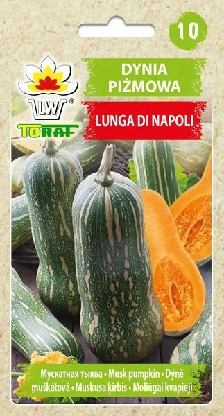 LUNGA DI NAPOLI Zaden 4G Toraf 44