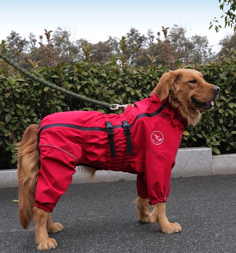 Chubasquero para mascotas, chaqueta impermeable para perros y gatos, ropa ajustable, gran oferta