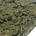 AOR1