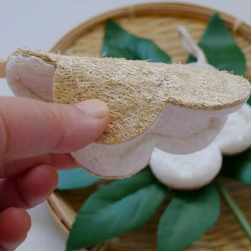 Loofah Dish Sponge, Eco Scrub Scourer, esponja de lavagem de louça sem riscos, ecológico para panelas e panelas, limpeza de cozinha