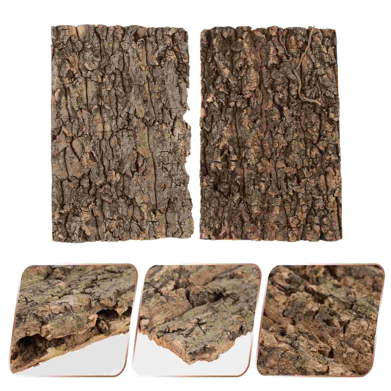 

2 Pcs Tank Reptile Bark Reptisoil Lizard Habitat Background Terrarium Landscape