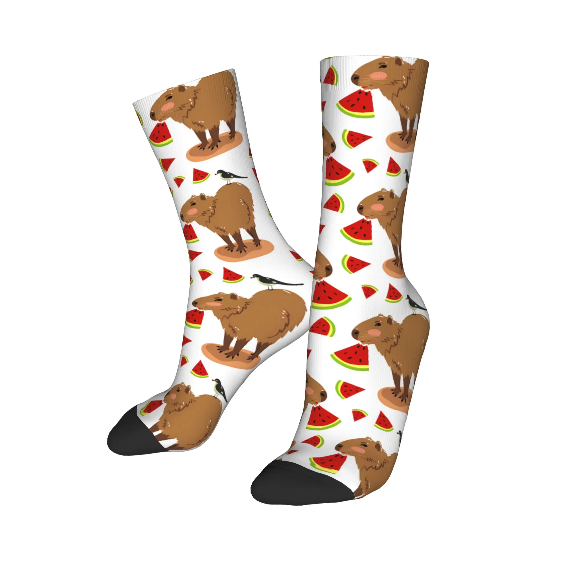 Men Socks Watermelon Capybara  Stockings Anti Slip Quality Socks Spring Fashion Graphic Outdoor Socks