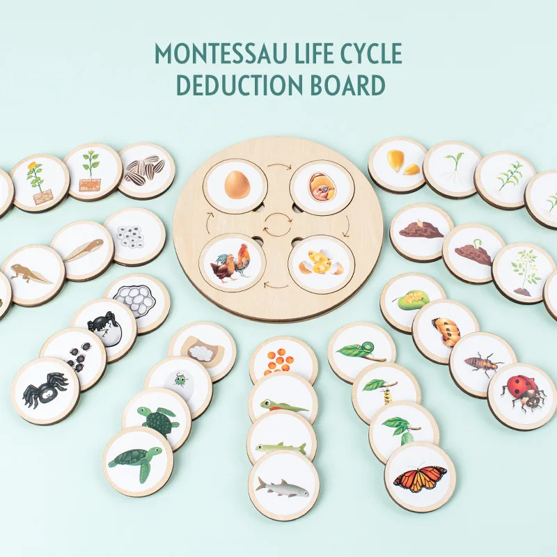 Montessori Wooden Animal And Plant Life Cycle Changes Board Set For Preschool Children Enlightenment Early Education Toys Gift