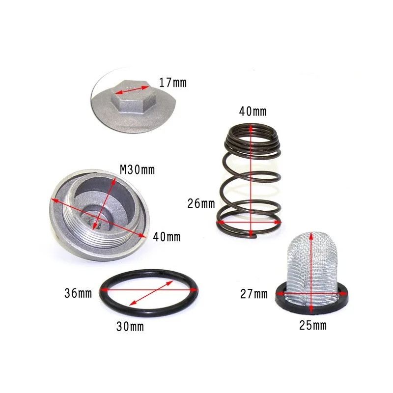 Oil Drain Plug Set With Spring Filter for GY6 50cc to 150cc Chinese Scooter Moped for Baotian Benzhou Znen Taotao