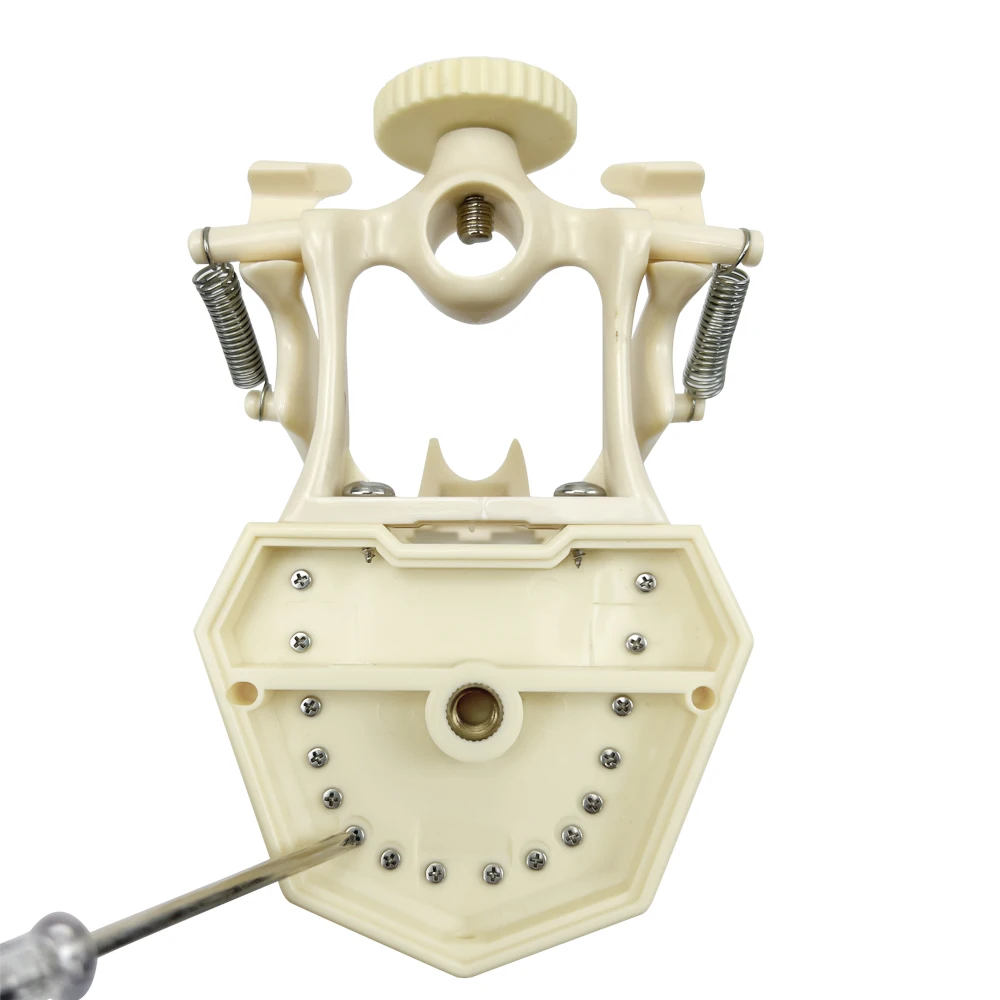 Dental Model Teeth Teaching Model Dentistry Demonstration Model With Removable 32teeth Technician Practice Typodont Model