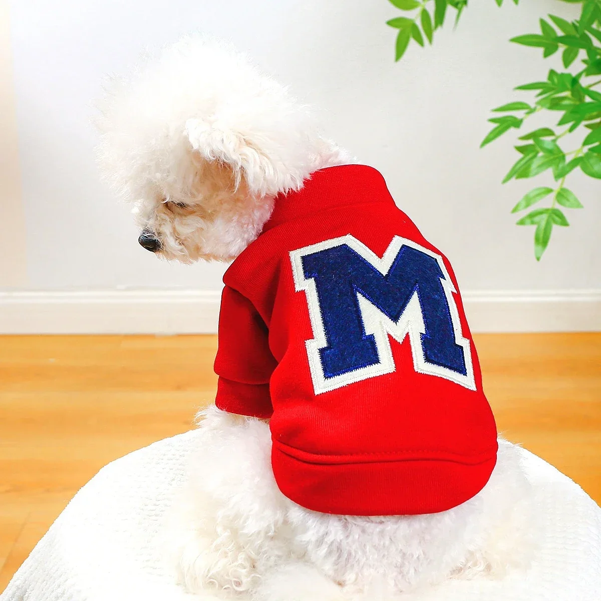 

Clothes for Small Dogs Teddy than Bear Dog Clothes Autumn and Winter New Add Velvet Warm Warm Letter R Dog Hoodie