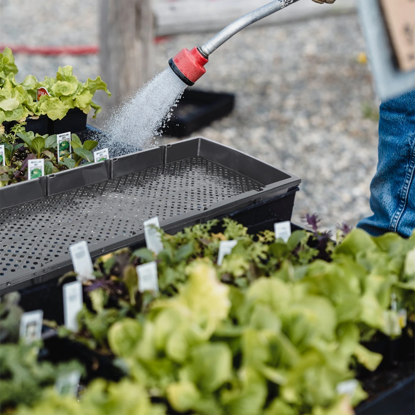 

3pcs Germination Tray Plant Growing Starter Lightweight Durable Plastic Containers Nursery Seedling Tray Gardening Home Use