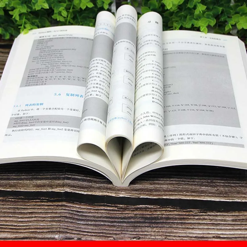 برمجة بايثون الأصلية: من المبتدئين إلى القتال العملي |   كتاب دليل خطوة بخطوة