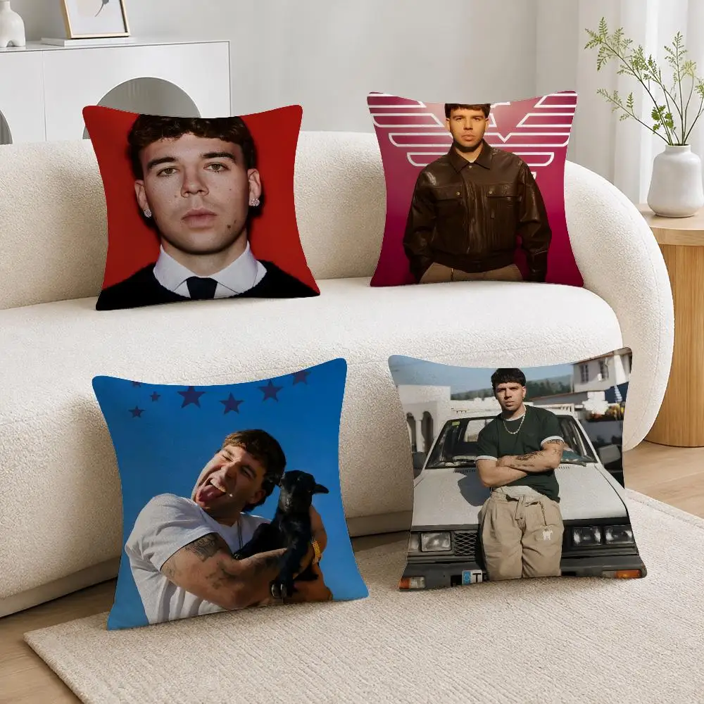 Singer Quevedo EL BAIFO Cushion Cover Soft Plush Cushion Covers Fluffy Throw Pillow Cases for Sofa Bedroom Home Decor
