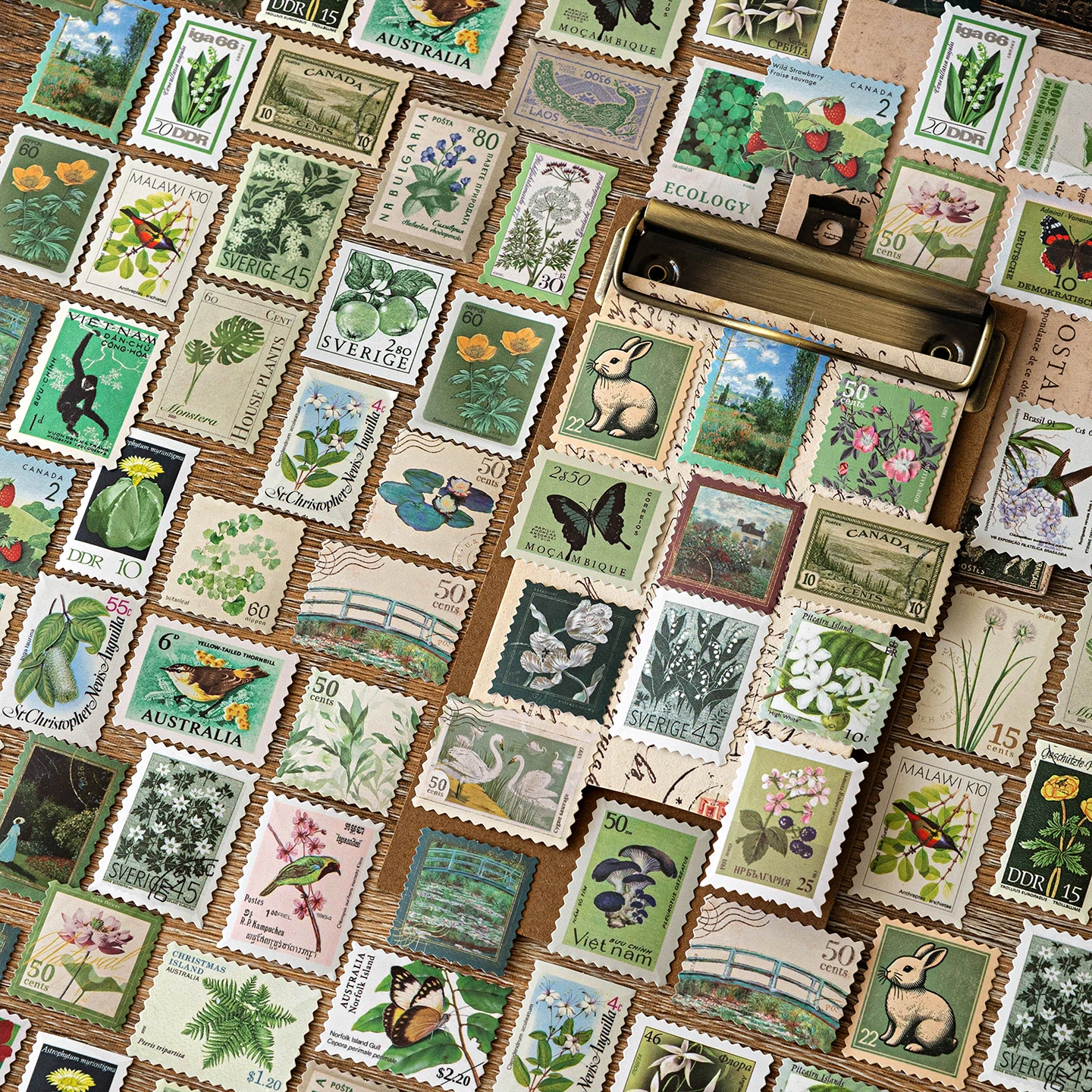 Ensemble de 100 autocollants Chaoyu, haute valeur esthétique, motifs décoratifs vintage de plantes et d'animaux, matériaux DIY pour cahiers et coques 