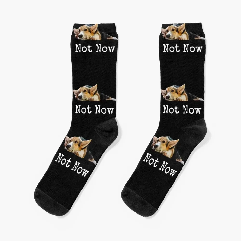 

Not Now -Cute Puppy Corgi Dog Lover Gifts Socks Stockings compression funny sock japanese fashion Socks Men Women's