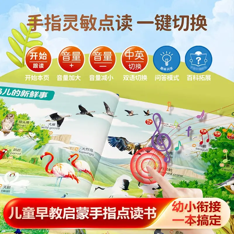 Language, Math, English,pinyin & Literacy Enlightenment Audiobook, Classroom Synchronization, Early Education Cognition
