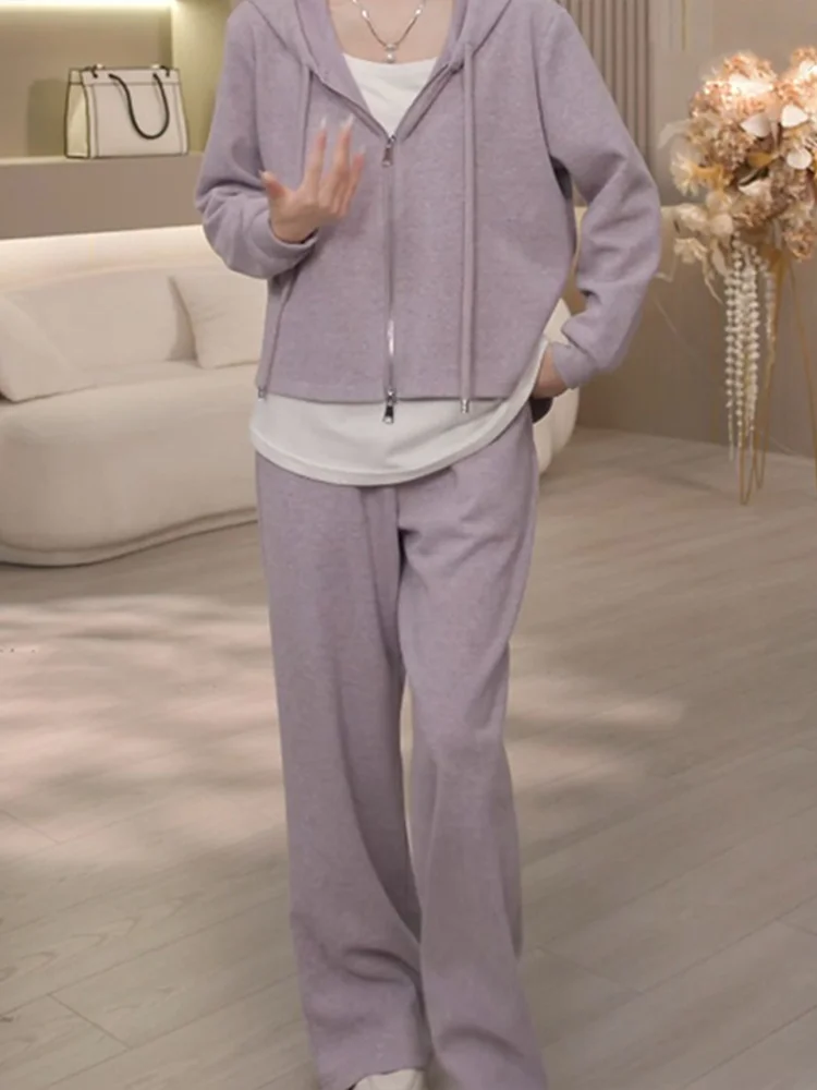 Casual Sportswear Set Women's Loose Fit Two-Piece Spring Autumn Korean Style Long Sleeve Hoodie Cardigan Slimming Effect