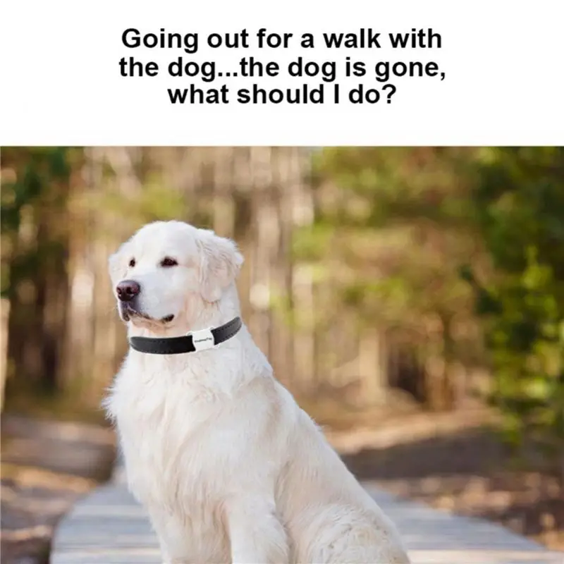 A25P 2X GPS Tracker 2.4G Low-Power WIFI Locator Auto Huisdieren Airtags Smart Finder Key Finder Positionering Findmy Tag APP (wit)