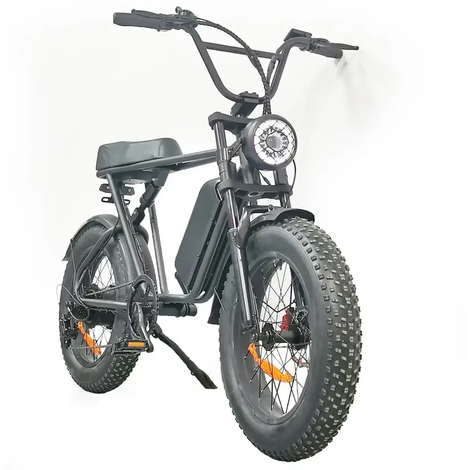 Electric bike C91 powerful 2000w dual motor 48v 20ah lithium battery Electric Bicycle 20 inch fat tire mountain off-road E-bike image 1
