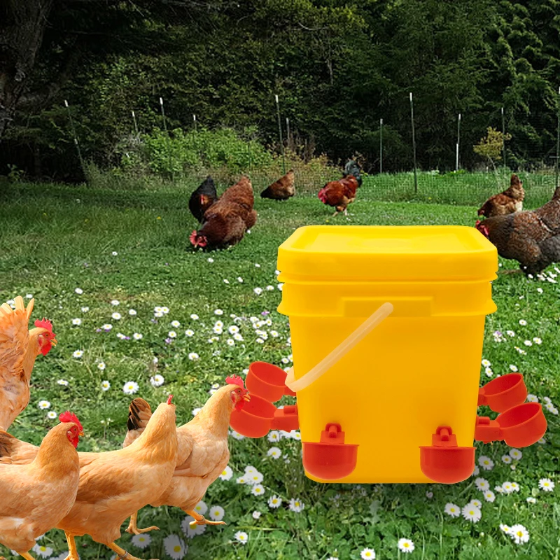 مجموعة أدوات تغذية الدجاج والبط والأوز سعة 10 لتر مع 8 أكواب تعبئة تلقائية و4 منافذ للحلمات الأفقية للدواجن