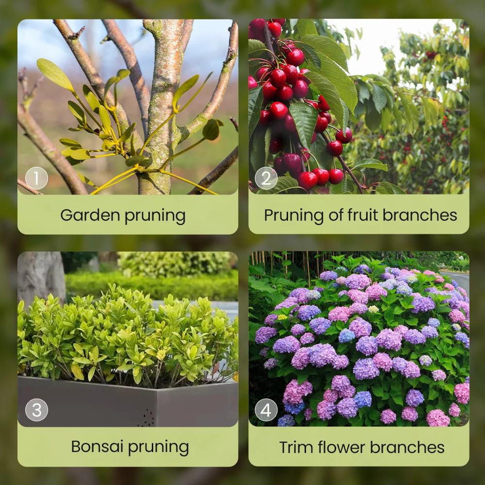 مقصات تقليم AIRAJ فئة كاملة، تعديل متعدد العتاد، فتحة كبيرة، ماكينة تشذيب يدوية حادة للغاية، مقصات حديقة احترافية