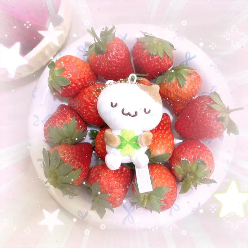 Nieuwe Masyumaro Pluizige Fuwa Nyanko Muffin Kat Pluche Sleutelhanger Anime Cartoon Pop Speelgoed Tas Speelgoed Girly Verjaardagscadeau