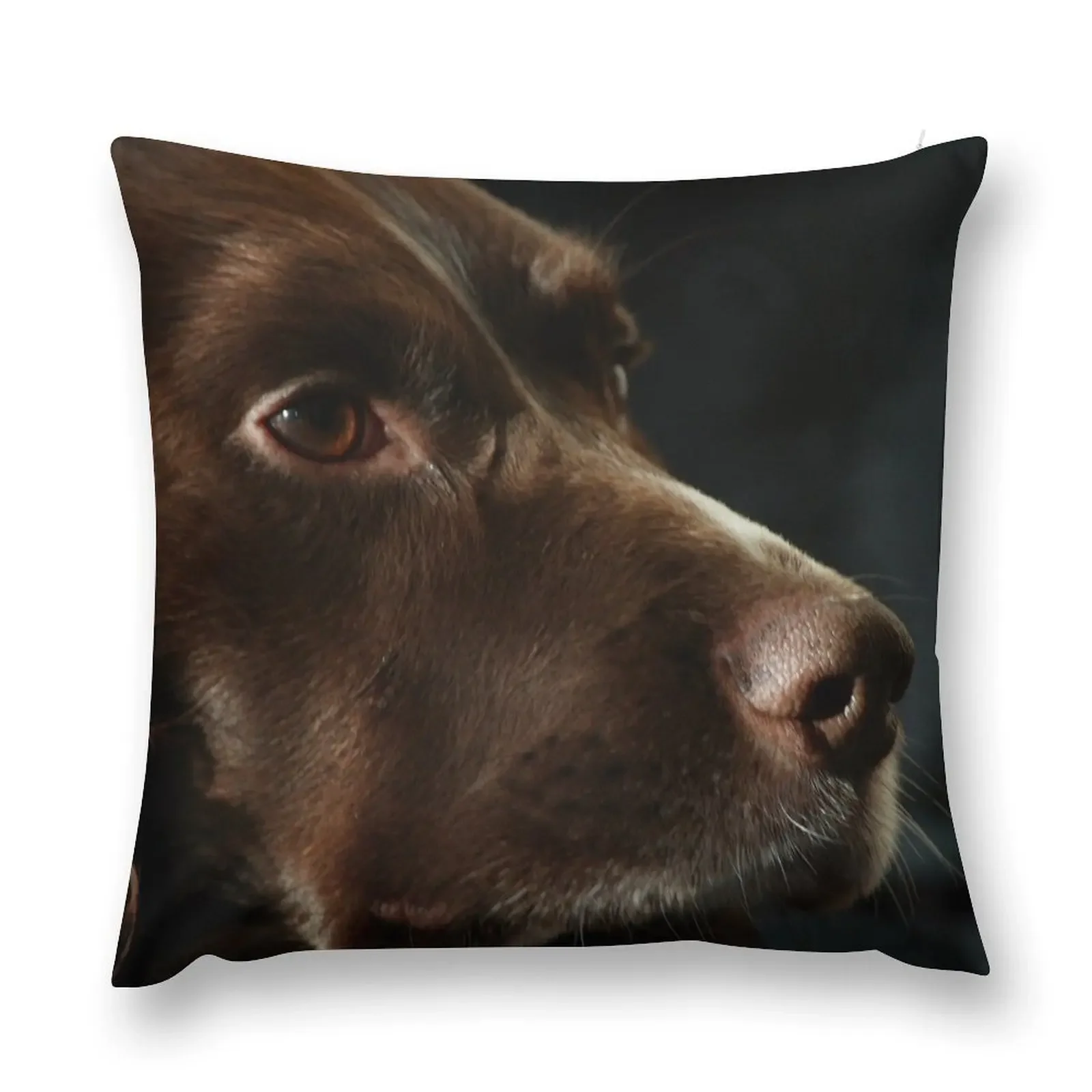 

English Springer Spaniel Throw Pillow Pillow Decor Custom Cushion pillow