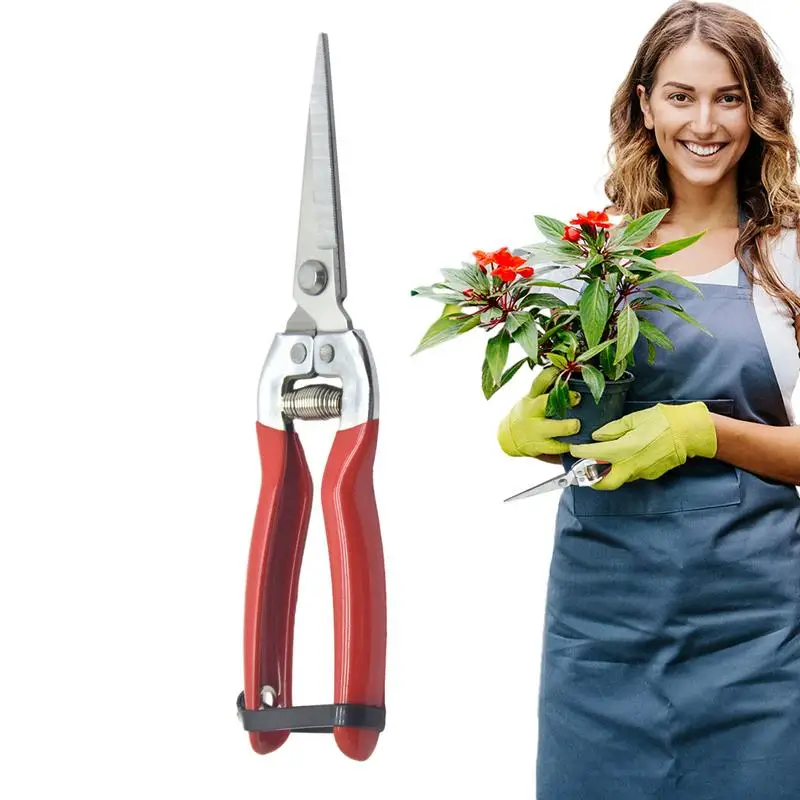 

Pruning Shears Rustproof Gardening Pruning Scissors Gardening Hand Tools Scissors with Flexible Operation for Gardeners