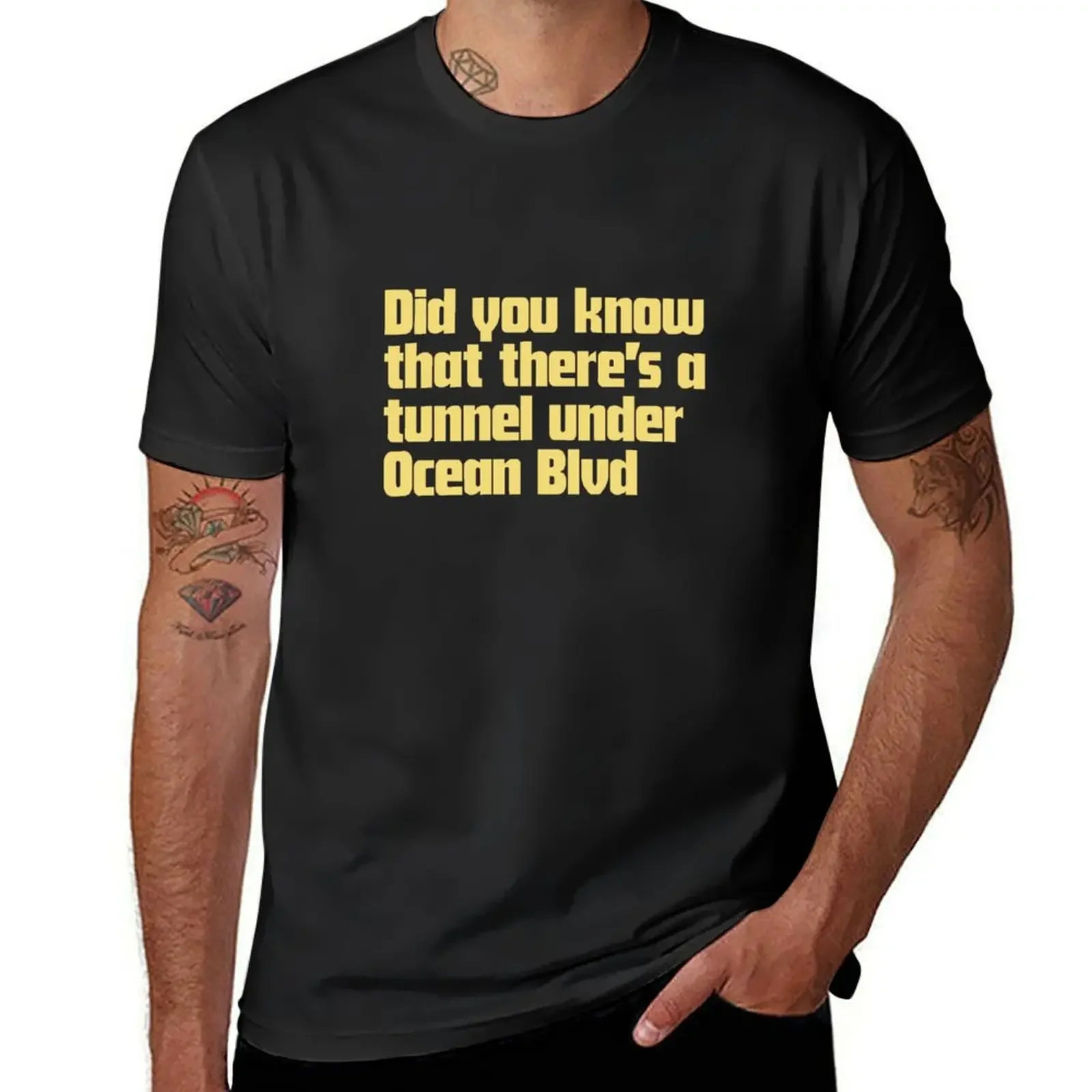 Did you know that there’s a tunnel under Ocean Blvd - Lana Del Rey T-Shirt korean fashion plain mens funny t shirts