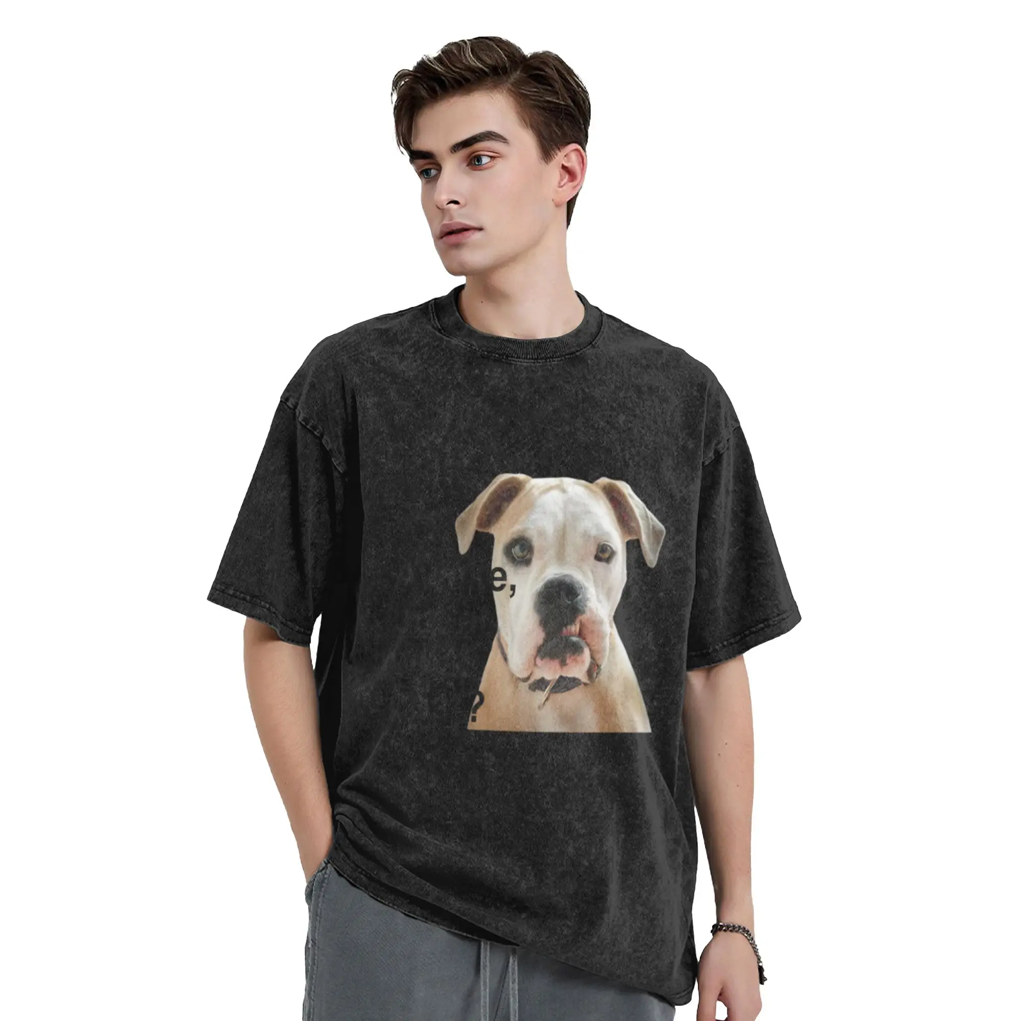 Awake Dog Classic Stylish A Washed T Shirt Men's Women's Oversized Cotton Tees Tops
