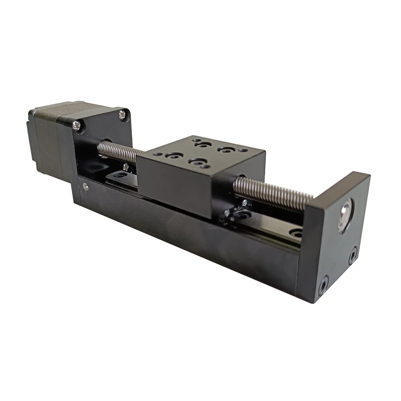 Compact Linear Guide Square Tr6 Tr6.35 Lead Screw Stroke 100mm 200mm 300mm Stepper Motor 28mm Linear Module for Logistic Machine