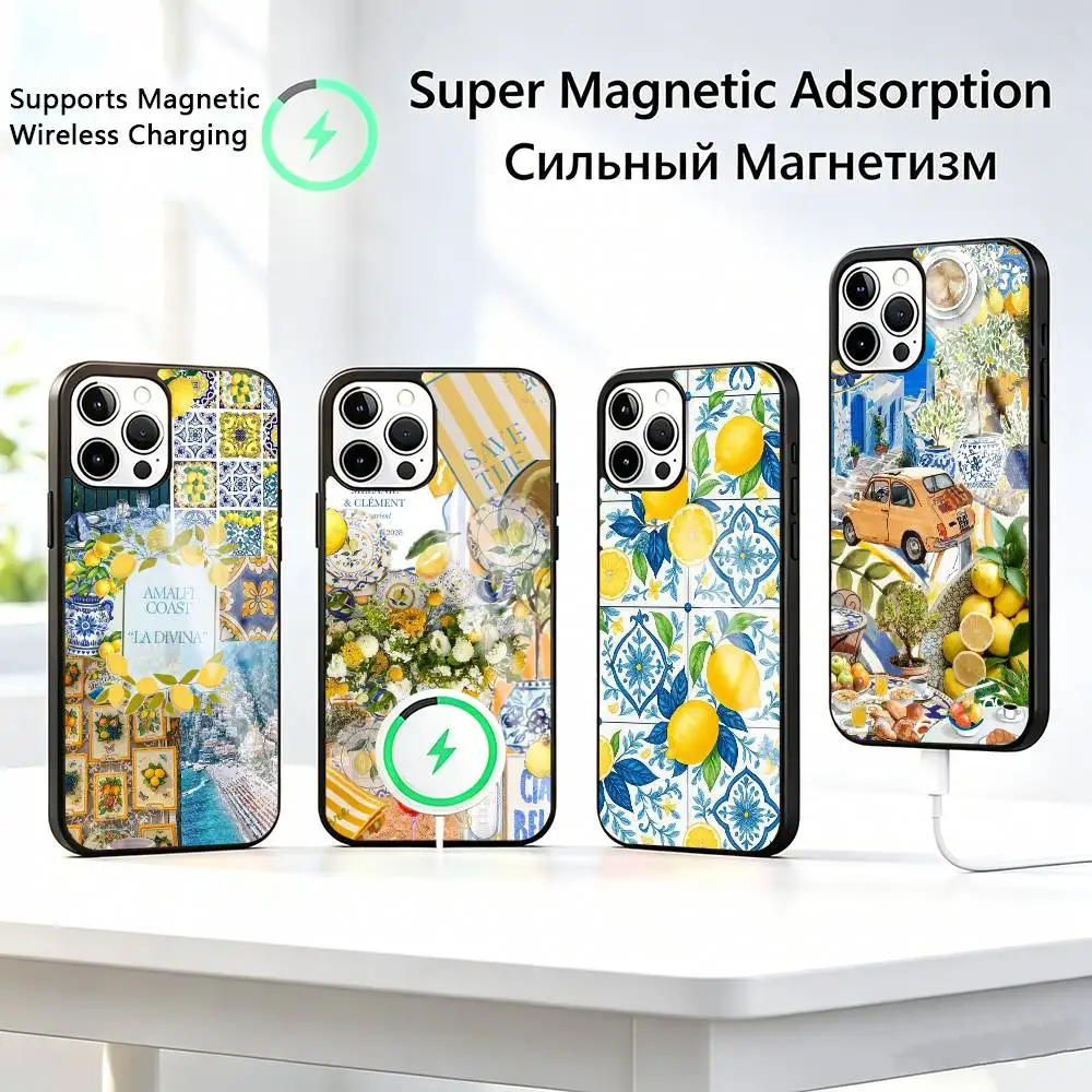 

European-n Amalfi-i Coast LemonS Phone Case For iPhone17,16,15,14,13,12,11 Plus,Pro Allows magnetic wireless charging