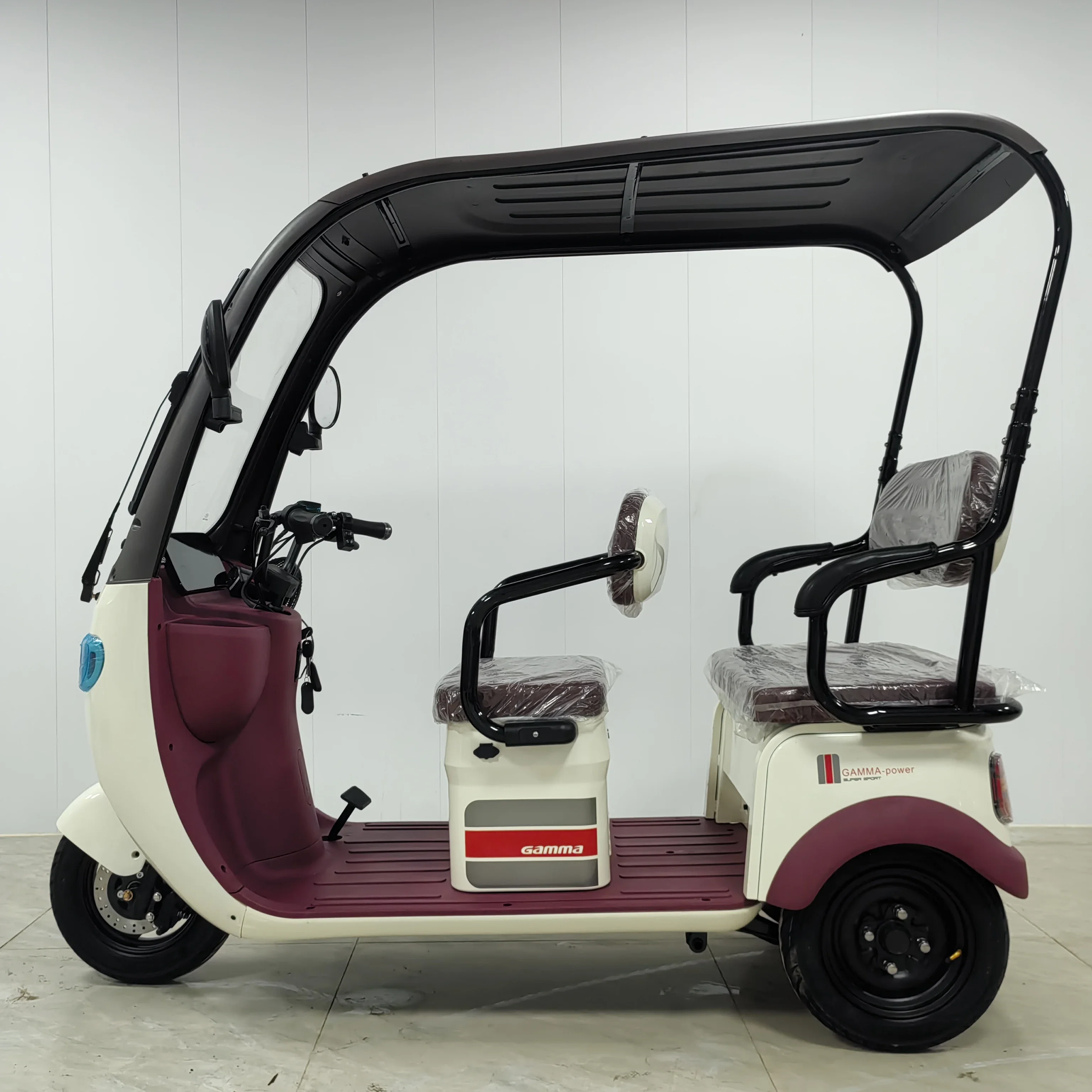 Factory New Premium Edition Tricycle Adult Electric  With Covered  