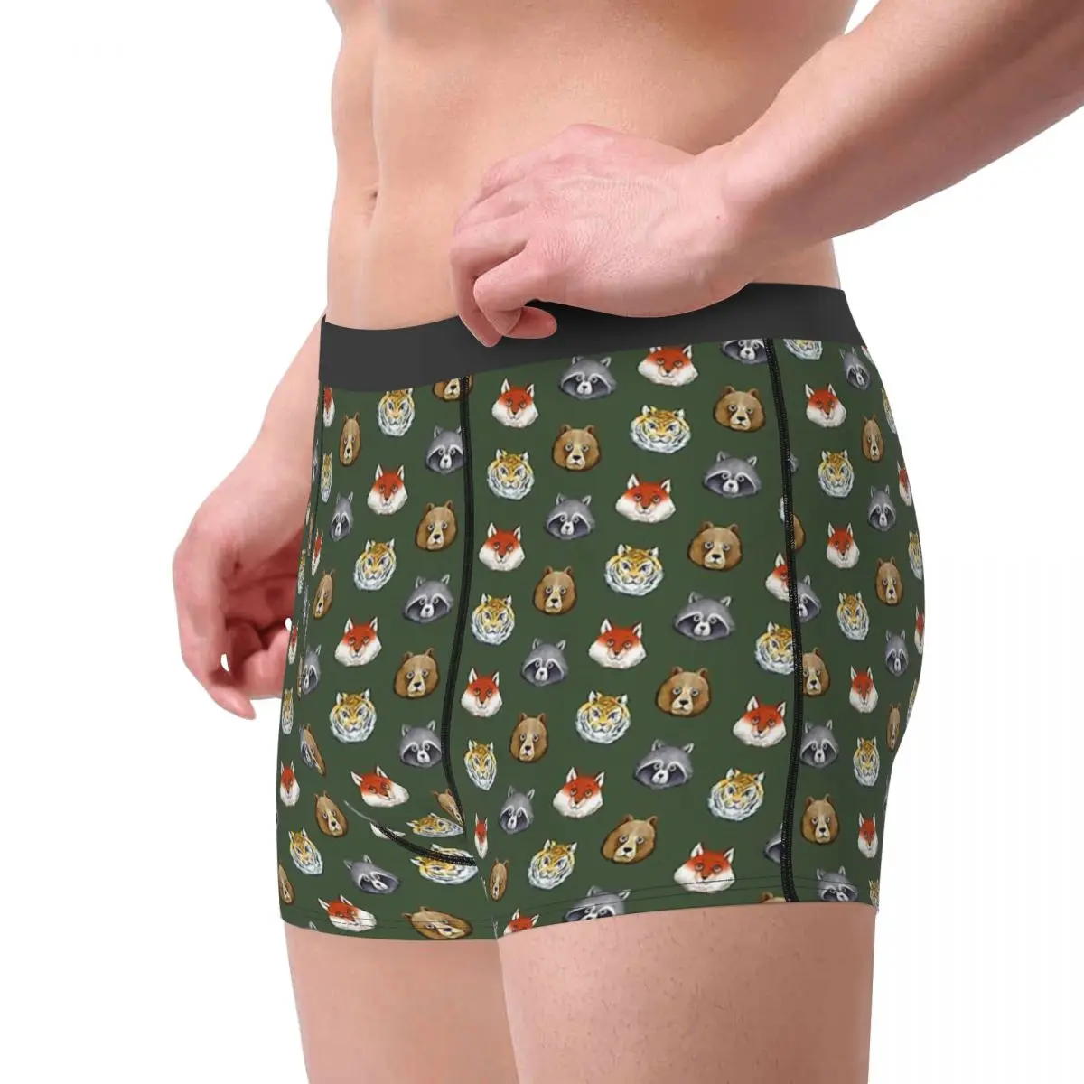 Tigers And Other Stories Raccoon Procyon Lotor Animal Underpants Breathbale Panties Male Underwear Sexy Shorts Boxer Briefs