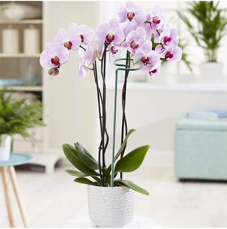 16 Inch Modern Minimalist Indoor Metal Plant Support with Fixed Flower Rod