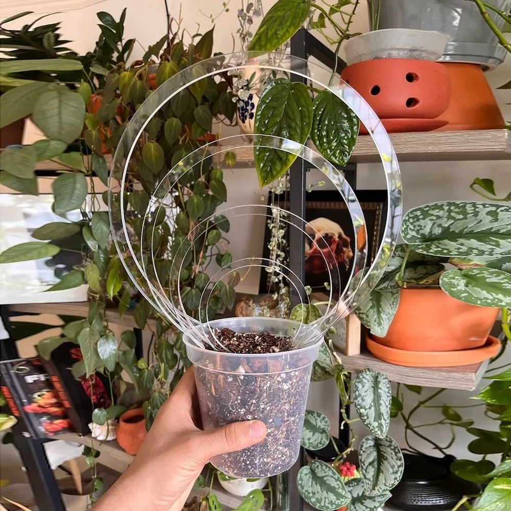 Support de plante en acrylique transparent, forme ronde, résistant aux intempéries, treillis pour plantes, support de croissance robuste pour plantes succulentes