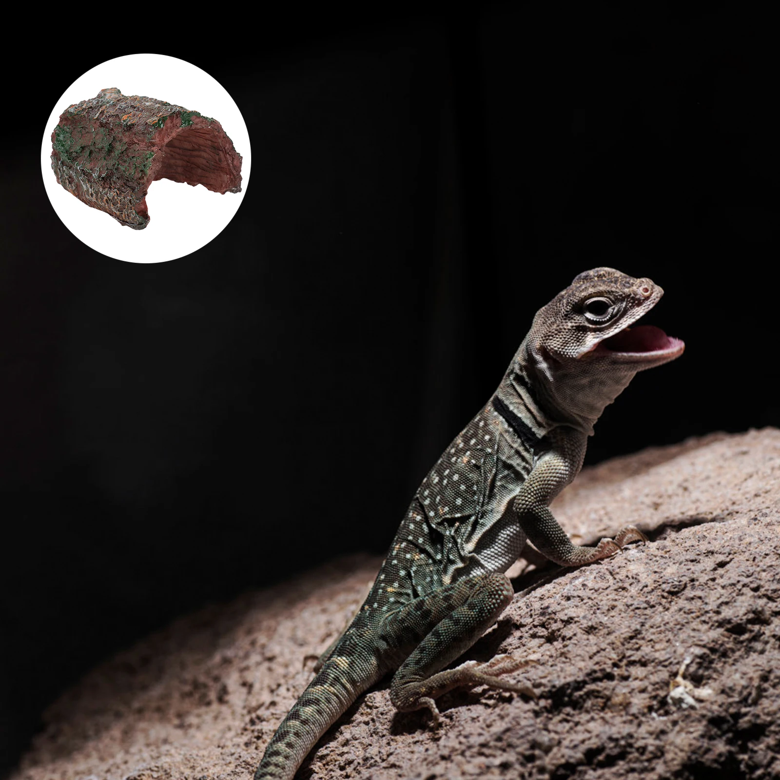 

Simulated Arch Bark Tree Hole Hiding Shelter for Reptile Tank Decor Resin Landscaping Ornament for Lizard Gecko