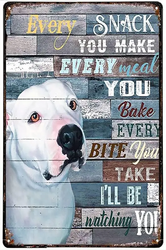 Metal Plate Tin Sign White Pitbull Every Snack You Make I’Ll Be Watching You Poster Home Wall Art Decoration Retro Metal Ti s