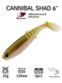 CA89
