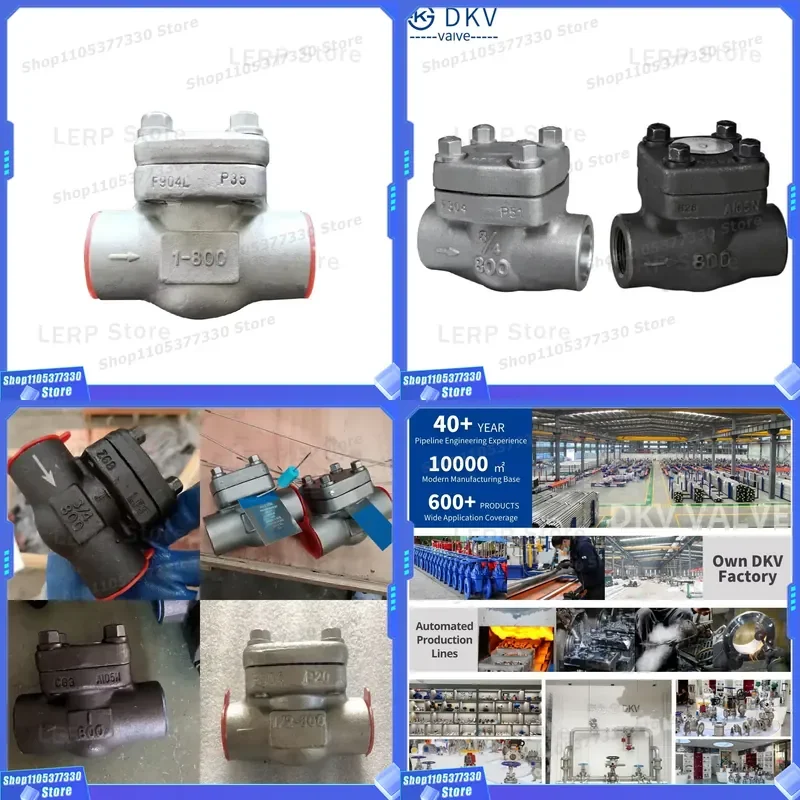 DKV Class 800lb NPT Threaded Forged Stainless Steel One Way Check Valve DN15-DN50 -29 to 550C Socket Weld
