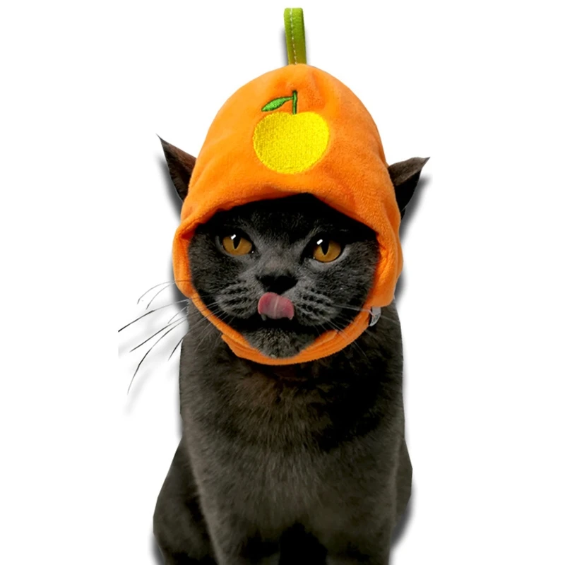 Warm Pet Fruit Adjustable Hat Headwear for Cats and Dogs